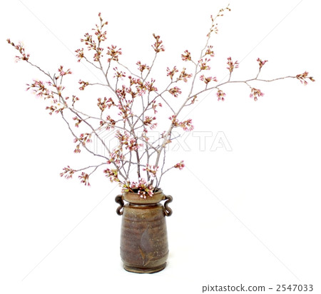 flower arrangement, flower arrangements, fresh flowers 2547033