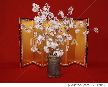 floral arrangement, fresh flowers, cherry blossom 2547042