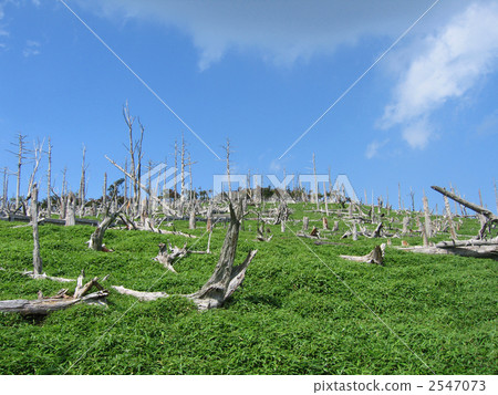 大Daigahara 2547073