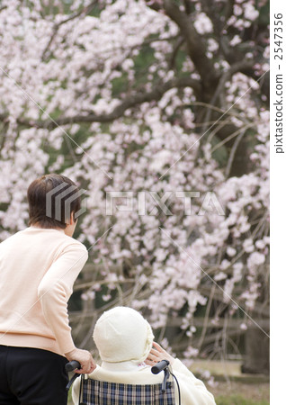 Nursing care 2547356