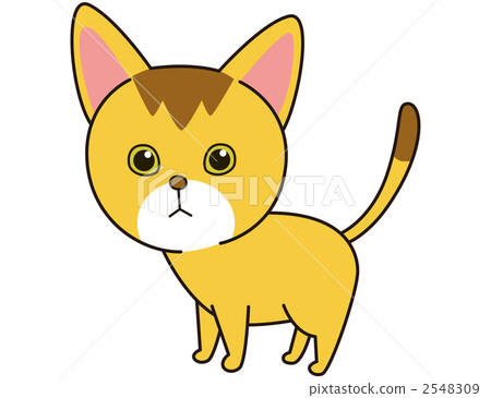 Cat (Abyssinian) 2548309