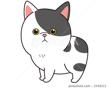 Cat (Kimlick) 2548311