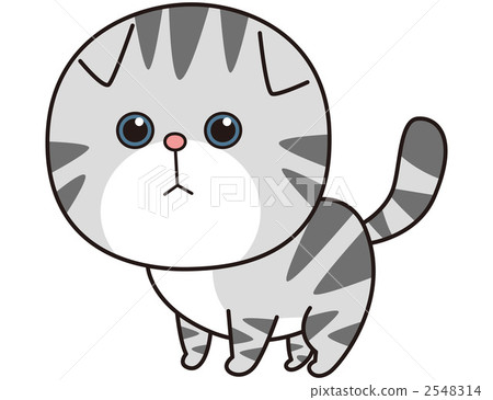 Cat (Skatish Fold) 2548314