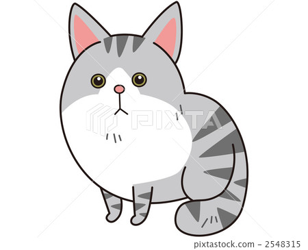 貓(挪威吉恩森林貓) 貓(挪威吉恩森林貓) 2548315