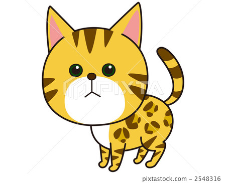 貓（伯傑） 2548316