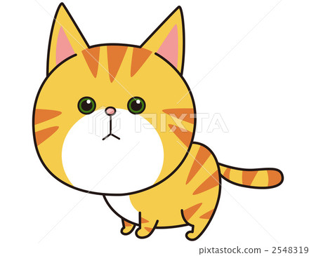 Cat (Munchkin) Cat (Munchkin) 2548319
