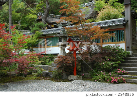 Fresh green of Kyoto Hoyama shrine Fresh green of Kyoto Hoyama shrine 2548836