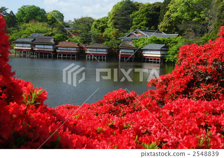 Kirishima of Kyoto Nagaoka Tenman-gu Shrine 2548839
