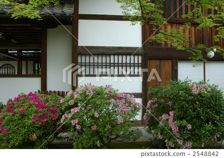 The azalea of the Kyoto Daigakuin 2548842