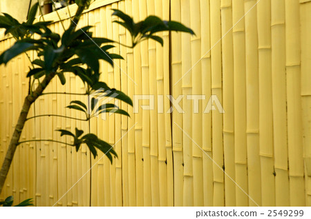 柵欄 竹子 竹 2549299