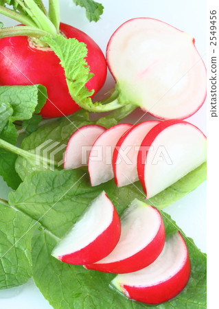 Radish Radish 2549456