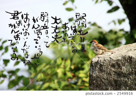 你的噪音很小 你的噪音很小 2549916