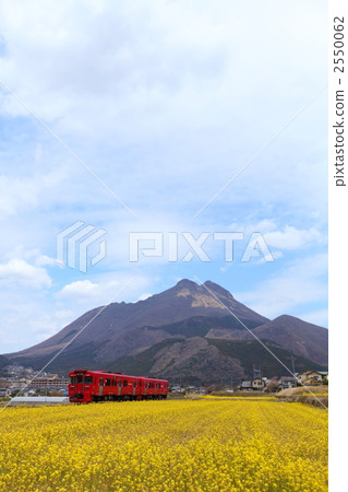 Yufu and Rape flowers and local lines Yufu and Rape flowers and local lines 2550062