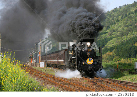 SL Yamaguchi SL Yamaguchi 2550118