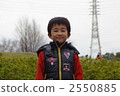  公園 2550885