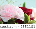 Carnation  2551181