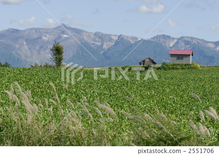 Tokachidake and red roof Tokachidake and red roof 2551706