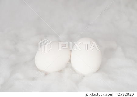 雞蛋 2552920