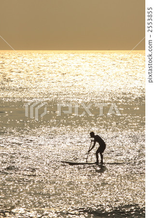 站起來衝浪 站起來衝浪 2553855