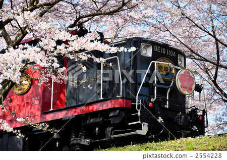 Sagano Tourist Railroad Truck 2 Sakura Spring 2554228
