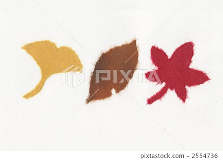 落葉 日本紙 和紙 2554736