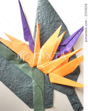 Paradaka grass 2554816