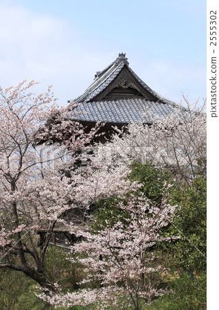 Rain snapshot sound bell tower 2555302