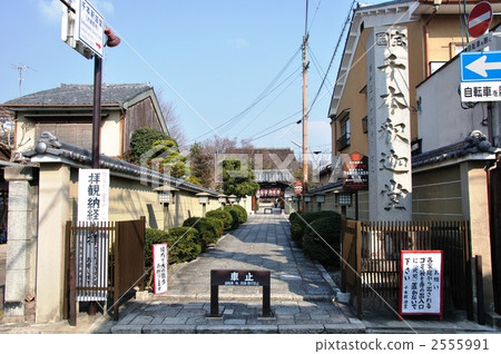 Senbon Shakado approaching path Senbon Shakado approaching path 2555991