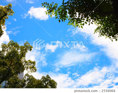 夏天的天空和肥皂泡沫 2556068