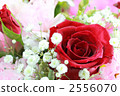 rose	 2556070