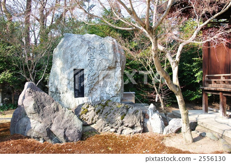 Autumn leaves of historical monuments Autumn leaves of historical monuments 2556130