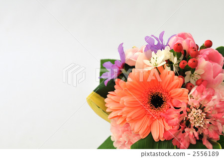 graduation ceremony, flower arrangement, birthday 2556189