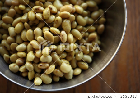 soybean, bean, beans 2556313