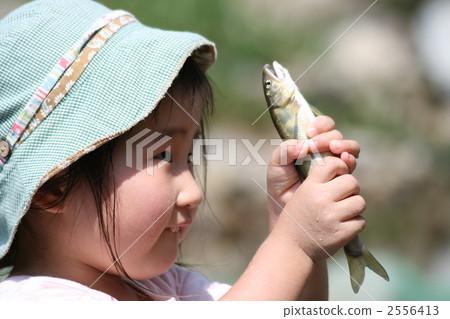 掃一掃香魚 掃一掃香魚 2556413