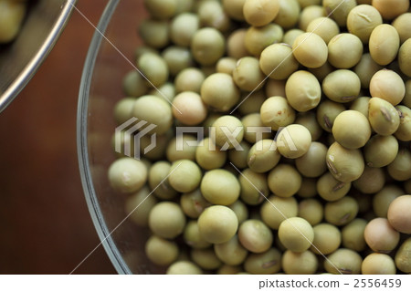 大豆 黃豆 豆 2556459