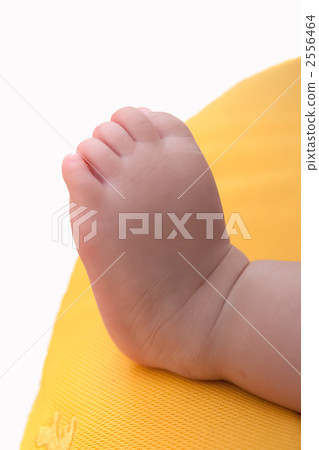 Baby's foot Baby's foot 2556464
