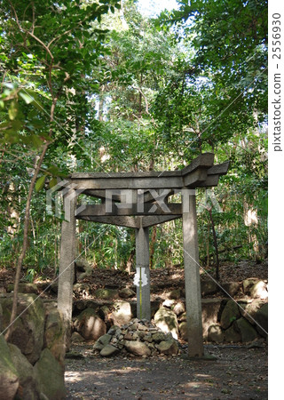 鳥居 鳥居門 京都 2556930
