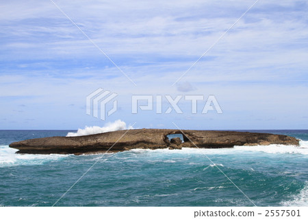 Cape Leiee 2557501