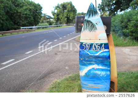 地址寫在夏威夷的衝浪板上 地址寫在夏威夷的衝浪板上 2557626
