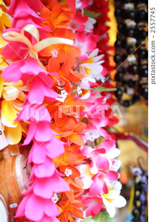 花環 聖誕裝飾 裝飾性的 2557745