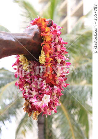 花環 花朵 花 2557788