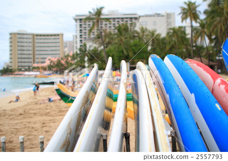 衝浪板 懷基基海灘 威基基海灘 2557793