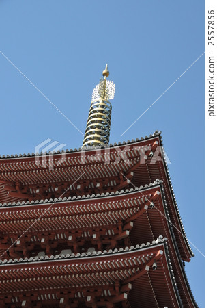 淺草寺 淺草寺 2557856