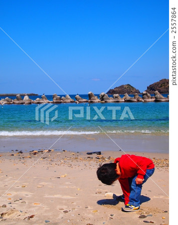 Spring Sea 2 2557864