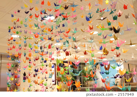 Thousands of cranes in Hawaii's shopping center 2557949