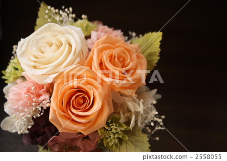 preserved flower, flower arrangement, flower arrangements 2558055