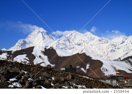 在Muktinato 2558434