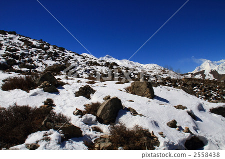 在Muktinato 2558438