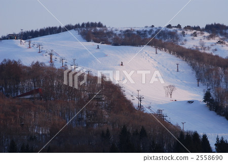 白雪皚皚 雪景 積雪 2558690