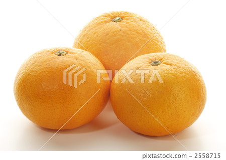 Sweet summer Sweet summer 2558715